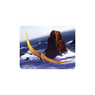 Obrázek z Magnet 3D 7x9cm - pteranodon (25) 